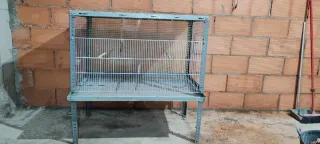 Jaula para pájaros metálica