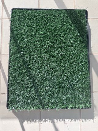 Pipican césped artificial