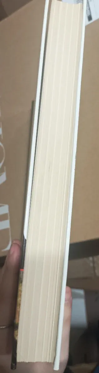 I promessi sposi- Alessandro Manzoni