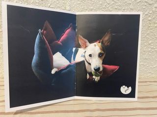 Original cama para mascotas