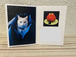 Original cama para mascotas