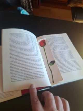 MUJERES DE LOS NAZIS, LAS