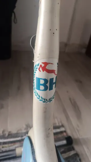 Bicicleta Estática BH clásica