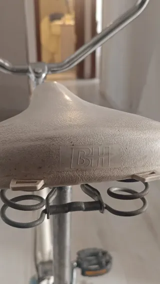 Bicicleta Estática BH clásica