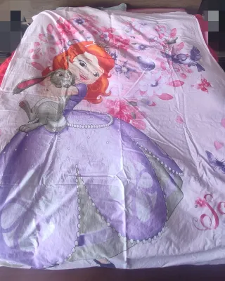 Lote de 2 fundas Nórdica Princesa Sofía
