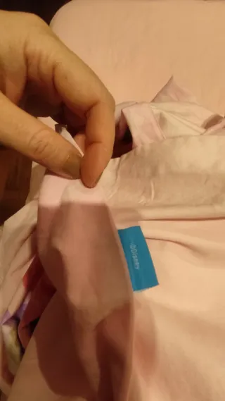 Lote de 2 fundas Nórdica Princesa Sofía