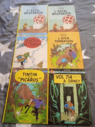Tintin en català