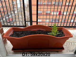 4 Jardineras + Platos + Plantas