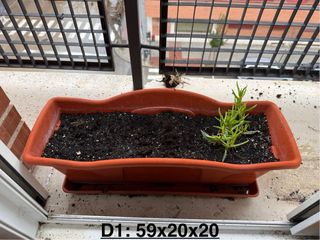 4 Jardineras + Platos + Plantas