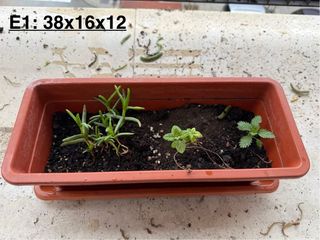 4 Jardineras + Platos + Plantas