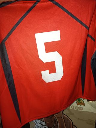 Camiseta Crop Haikyuu 5 Mizunoro