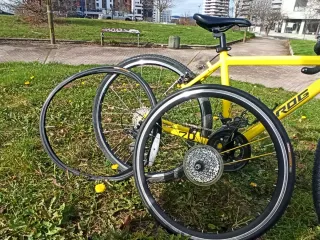 Bicicleta Frog Road 70 Edición Tour France