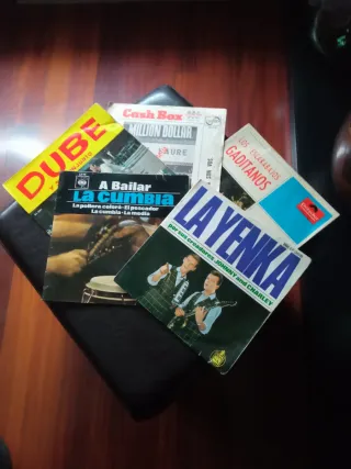 5 Vinilos Variados