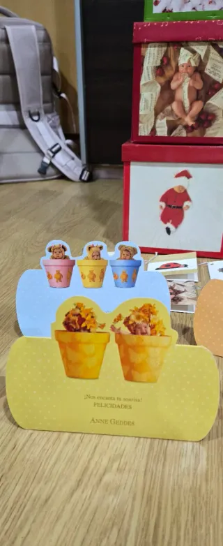 Conjunto 6 Cajas Anne Geddes con Tarjetas