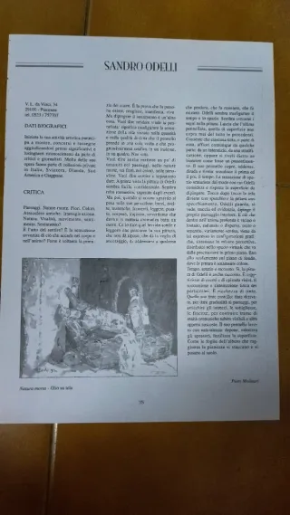 Quadro, Natura Morta Odelli, misure sulla foto