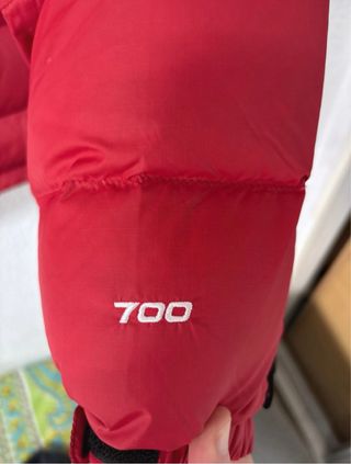 Chaqueta The North Face Massif