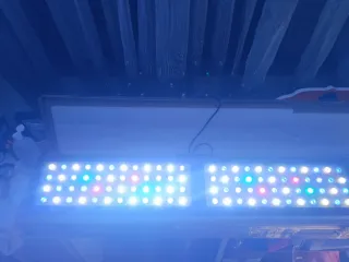 Pantalla LED Acuario Multicolor