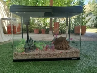 Acuario / Pecera BOYU 66L Negra y Accesorios