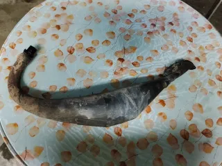 Yasuni R3 Escape Rieju Derbi