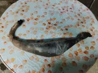 Yasuni R3 Escape Rieju Derbi