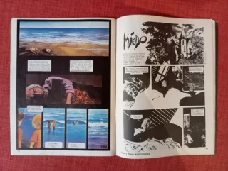 Lote 3 cómics de Terror Vintage: Creepy + Horror.