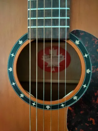 Guitarra Acústica Norman B18