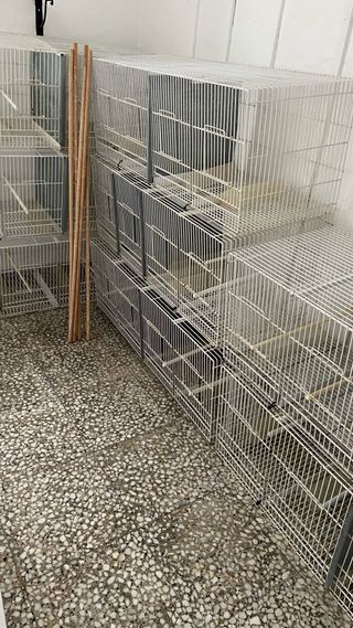 8 Jaulones Metro Dival