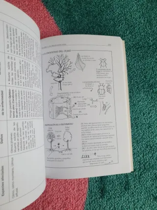 El Libro Del Arbol