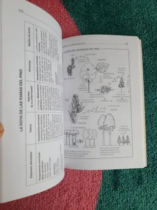 El Libro Del Arbol