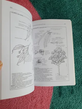 El Libro Del Arbol