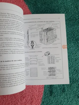 El Libro Del Arbol