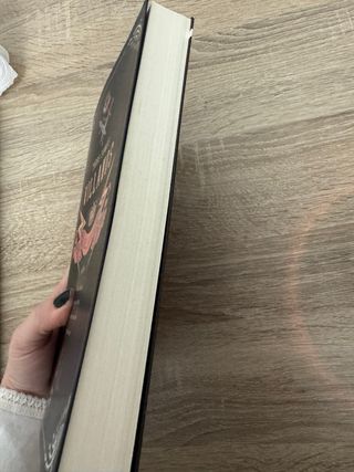 Libro Todos somos villanos M. L. Rio