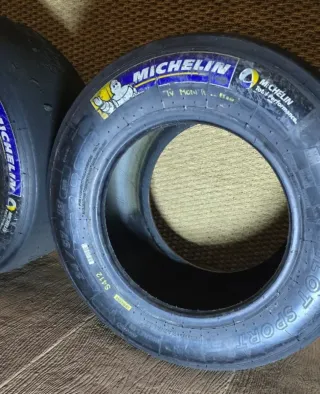 Neumáticos Michelin World Series 2014