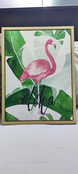 Set 2 Cuadros Decorativos: Loro y Flamenco