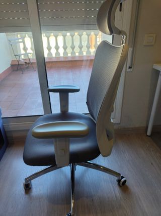 Silla de oficina ergonómica Sihoo M18