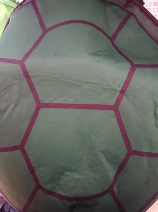 Disfraz Niño Tortuga Guerrera