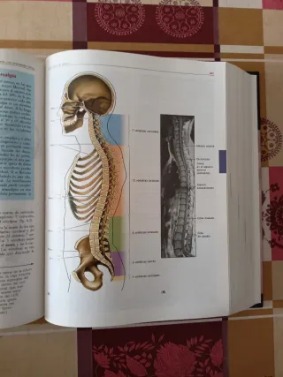 Anatomía con orientación clínica (4ª Ed.)