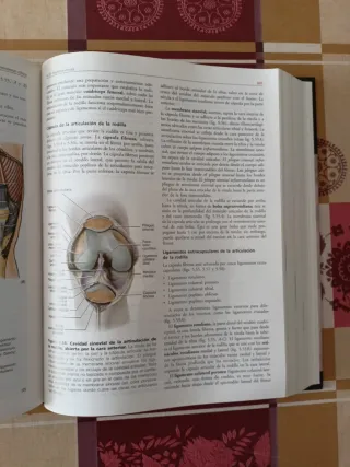 Anatomía con orientación clínica (4ª Ed.)