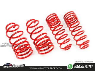 MUELLES DEPORTIVOS MTS TECHNIK MTSXSE010