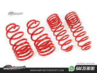 MUELLES DEPORTIVOS MTS TECHNIK MTSXCI011