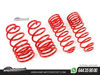 MUELLES DEPORTIVOS MTS TECHNIK MTSXVW282