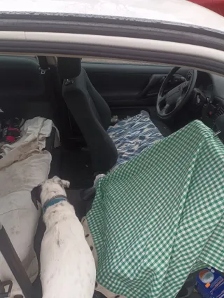 Volkswagen Polo 1999