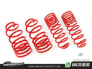 MUELLES DEPORTIVOS MTS TECHNIK MTSXAU008