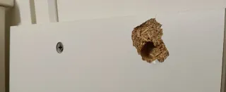 Cama Diván Ikea HEMNES + Colchón