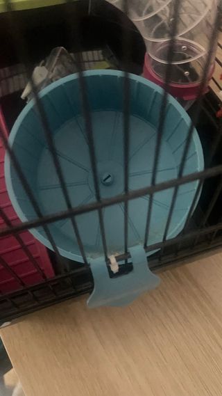 Jaula Hámster con Accesorios