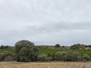 Dos fincas rústicas