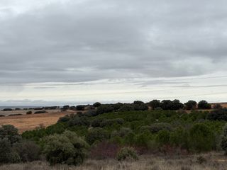 Dos fincas rústicas