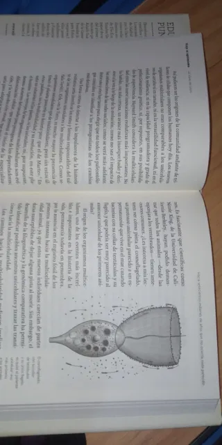 Viaje al optimismo: Las claves del futuro - Punset