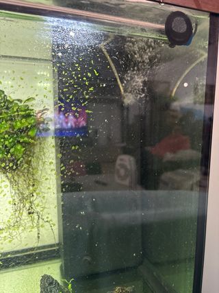 Acuario Pecera Grande con Mueble