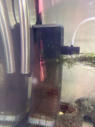 Acuario Pecera Grande con Mueble